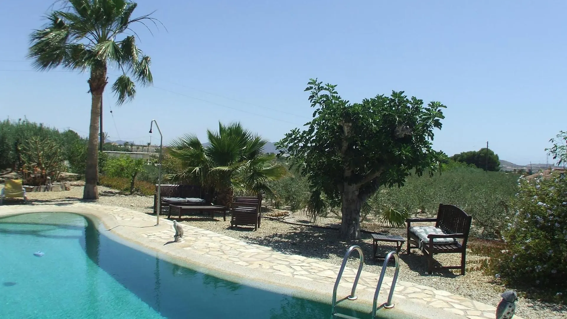 Finca Arboleda Vera