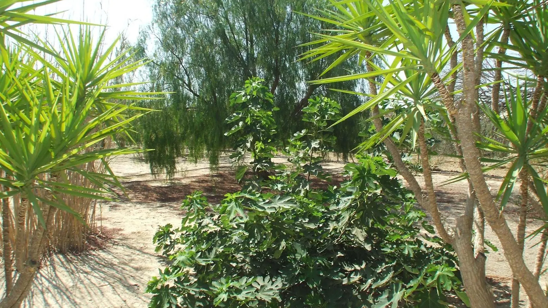 Holiday home Finca Arboleda Vera Spain