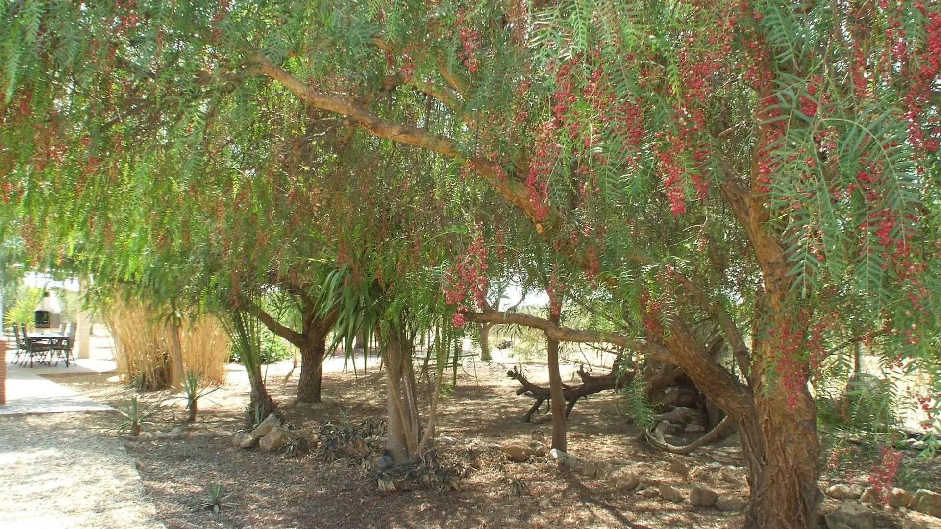 Finca Arboleda Vera Holiday home