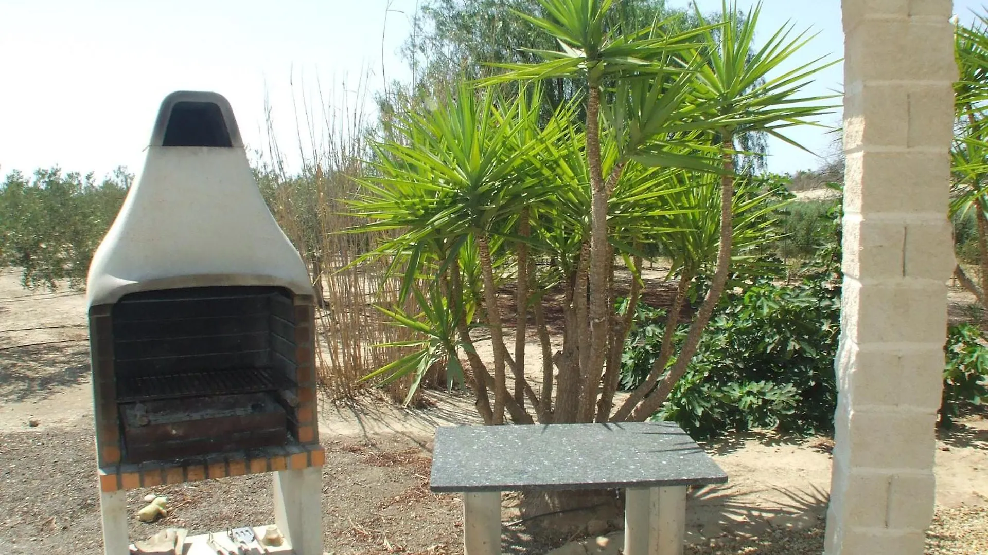 Holiday home Finca Arboleda Vera